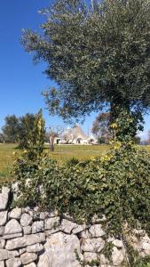 a tree and a stone wall with a house in the background at Trullincanto Monopoli by JD Collection in Monopoli +165 photos