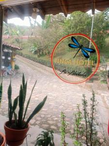 Fotografie z fotogalerie ubytování Libélula finca-hotel v destinaci Concepción