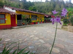 Zahrada ubytování Libélula finca-hotel