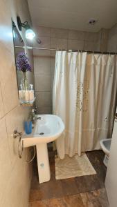 een badkamer met een wastafel en een douchegordijn bij Apartamento 5 in Crespo