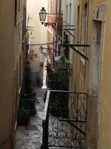 リスボンにあるLisbon Life Alfama Iの植物のある路地にあるベンチのある路地