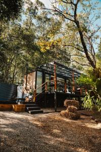 a cabin in the woods with a tree at Luxury Eco Pod - Sunny Coast Retreat! in Peachester +16 photos