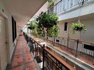 a hallway with potted plants in a building at Apartaestudio en el Rodadero junto al mar in Gaira