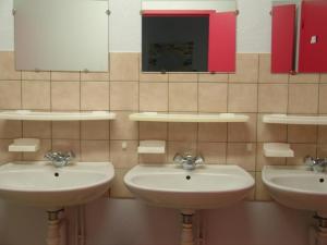 ein Badezimmer mit 3 Waschbecken und einem Spiegel in der Unterkunft Gîte familial en montagne, animaux admis, La Chabanne - FR-1-489-343 in La Chabanne + 11 Fotos