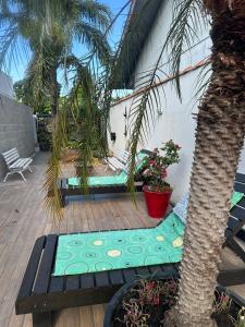 a yoga mat on a deck next to a palm tree at Casa Brisa in Sinop