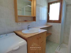 a bathroom with a sink and a toilet and a mirror at Charmant studio avec cabine - 4 pers - St Jean de Sixt - FR-1-458-223 in Saint-Jean-de-Sixt