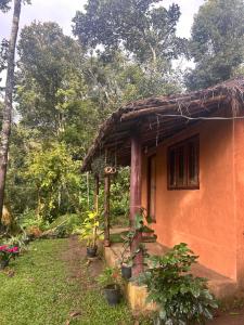 a small orange house with plants in front of it at Spies Munnar Camping in Chinnakanal