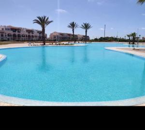 a large blue swimming pool with palm trees and buildings at Madame facances in Saïdia