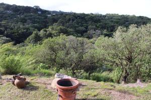 Paesaggio naturale nelle vicinanze della casa vacanze