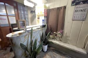 eine Ladenfront mit einer Pflanze vor einer Theke in der Unterkunft D and A Transient Inn Taguig in Taguig