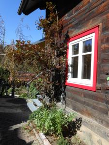 a window on the side of a house with a plant at Willa auf der Steinplatte in Teufenbach +2 photos