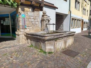 a stone fountain outside of a building on a street at Apartment am Fischbrunnen in Weikersheim +7 photos