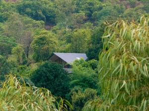a house in the middle of a forest at CharDara Agrotourism & FarmStay in Mahabaleshwar