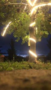 Fotografie z fotogalerie ubytování Handiranwila Jay Resort v destinaci Anguruwatota