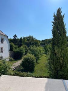 a tree in a yard next to a house at Hotel Restaurant Lavelle in Gräfinthal +11 photos