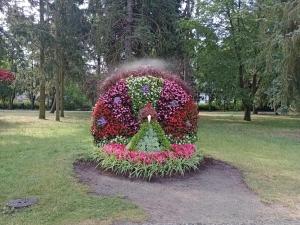 a lion made out of flowers in a park at Apart-lux in Ciechocinek +4 photos