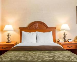 Postel nebo postele na pokoji v ubytování Quality Inn