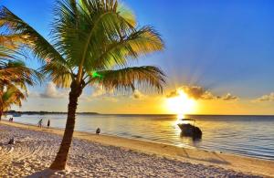 una palma su una spiaggia con un tramonto di 3bed villa with private pool and rooftop with a sea view in flic-en-flac, Mauritius a Flic-en-Flac