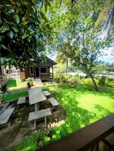 Marang Guesthouse Resort外面的花园
