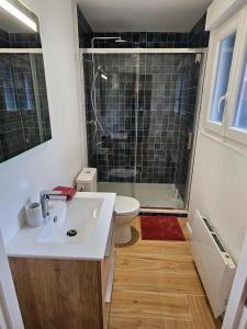 ein Badezimmer mit Waschbecken, Toilette und Dusche in der Unterkunft Le 325 Appartement de qualité avec terrasse in Béthune