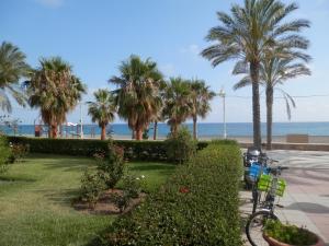 Gallery image of Toda una EXPERIENCIA en la COSTA DEL SOL, a 100m de la Playa in Algarrobo-Costa