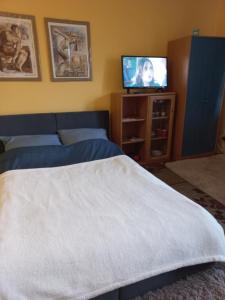 a bedroom with a bed and a flat screen tv at Apart-Lux in Ciechocinek