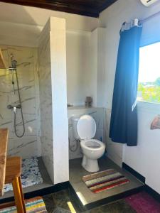 a bathroom with a toilet and a shower at VaoVao Hotel in Nosy Be