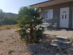a palm tree in front of a house at Studio Apartment Sanja 1 in Neum
