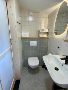 a bathroom with a white toilet and a sink at De Kievit - Tussen de Wilgen in De Vecht