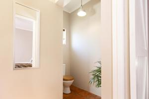 a bathroom with a toilet and a mirror at Riverbend Farm in Robertson +74 photos