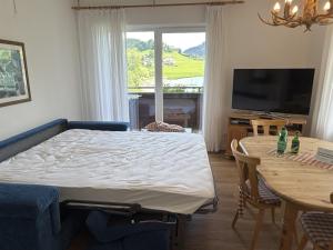 TV a/nebo společenská místnost v ubytování Rosenhof am See Ferienwohnung Seerosensuite