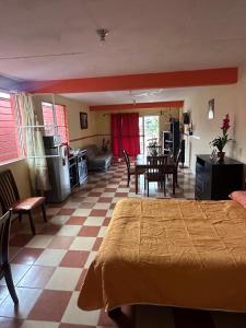 ein Schlafzimmer mit einem Bett und einem Tisch und Stühlen in der Unterkunft Spacious Apartment with Terrace in Orizaba