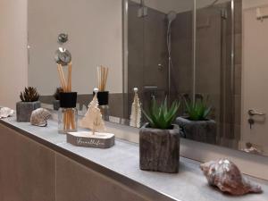 a counter with potted plants on it in front of a mirror at Haffblick Whg Ha16 in Boltenhagen