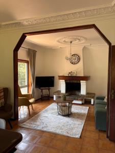 a living room with a couch and a fireplace at Vila Felicia in Cabeceiras de Basto