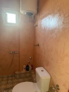 a bathroom with a toilet and a shower at Lefki's House in Agiokampos +7 photos