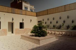a building with a plant in a courtyard at Riad Ait Sonia in Tamraght Ouzdar