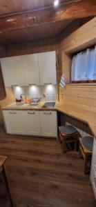 Kuchyň nebo kuchyňský kout v ubytování Apartamenty i Domki Biały Dunajec