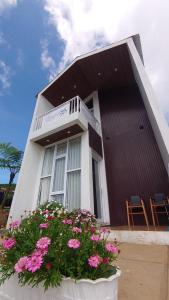 a house with a flower pot in front of it at Skypiea Dieng in Dieng