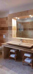 een badkamer met een grote wastafel en een spiegel bij Gite "panda" la vincence in La Verdière