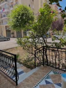 Galería fotográfica de Central Nest Vlore en Vlorë 9 fotos más