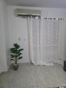 a room with a curtain and a potted plant at 3BR furnished apartment in Madinaty B1 شقة مفروشة 3 غرف نوم في مدينتي in Madinaty +1 photo