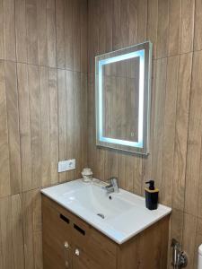 アルモドバル・デル・リオにあるEl capricho de Olgaの洗面台と鏡のあるバスルーム