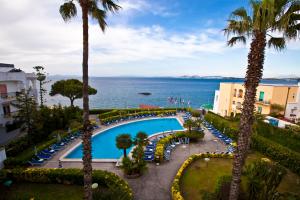 widok na basen z palmami i ocean w obiekcie Hotel Terme Alexander w mieście Ischia