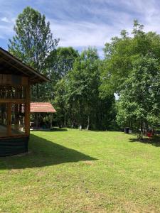 a large grass field with a pavilion and trees at Mesteceni Glamping in Nistoreşti
