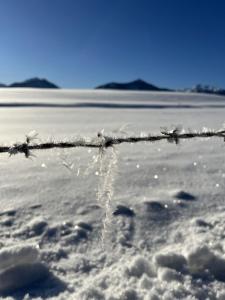 Příroda nedaleko apartmánu + 19 fotografií