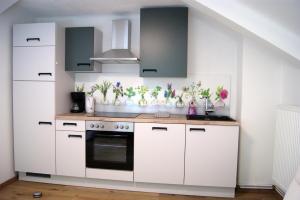 Kuchyň nebo kuchyňský kout v ubytování Die Villa + 16 fotografií