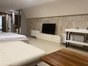 Μια τηλεόραση ή/και κέντρο ψυχαγωγίας στο Апартаменты у моря