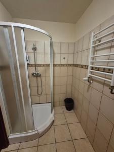Kúpeľňa v ubytovaní Apartamenty Amadeus