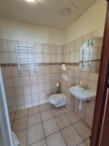 Kúpeľňa v ubytovaní Apartamenty Amadeus