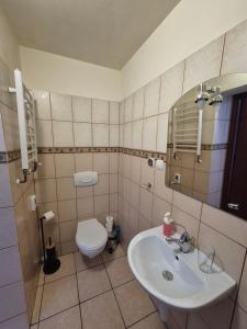 Kúpeľňa v ubytovaní Apartamenty Amadeus